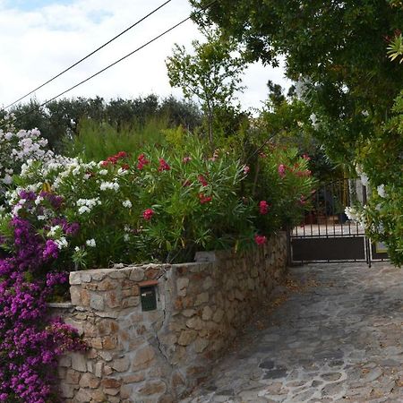 Apartment Les Moulins Saint-Tropez Extérieur photo