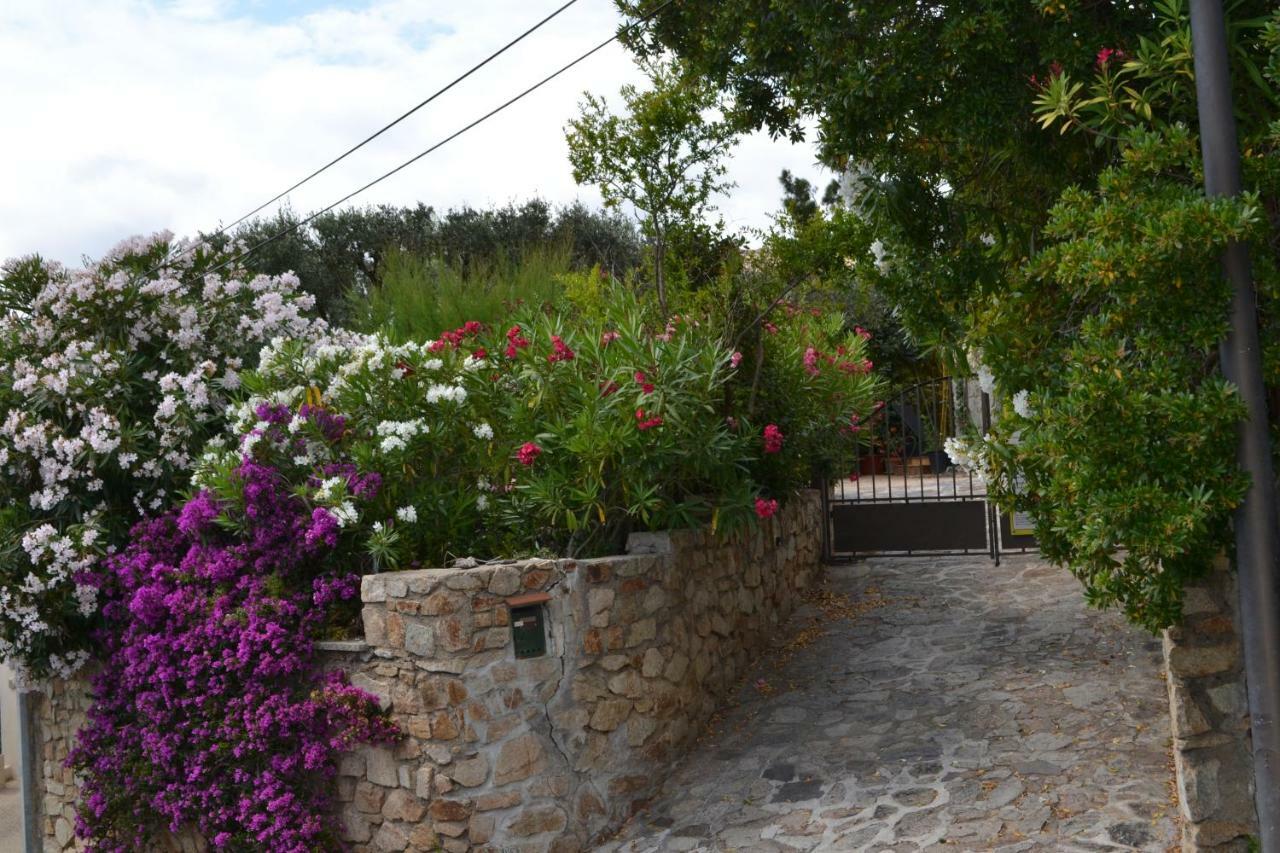Apartment Les Moulins Saint-Tropez Extérieur photo